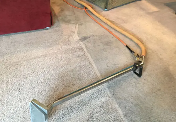 Professional Carpet Cleaner & Stain Removal League City