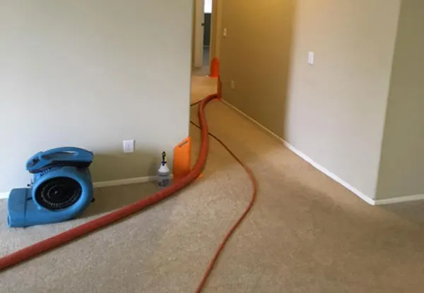 Affordable Whole-Home Carpet Cleaning Company Kemah